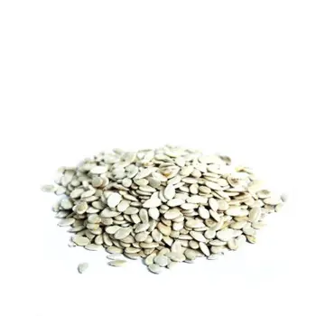 Fresh Watermelon Kernel 